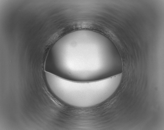 X0000056350401200508260925