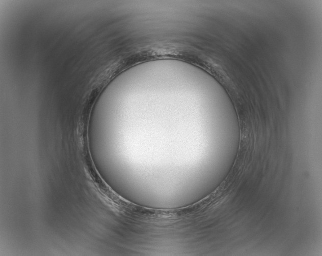 X0000056350402200508260925