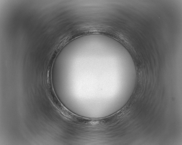 X0000056350406200508260925