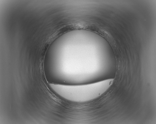 X0000056350409200508260925