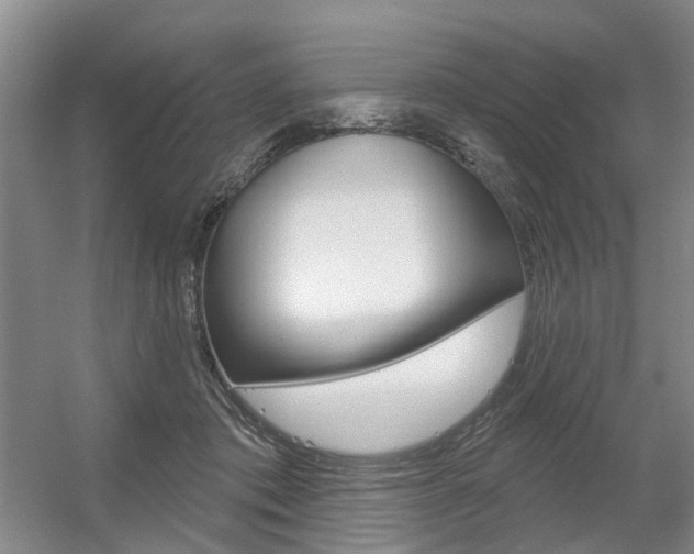 X0000056350413200508260925