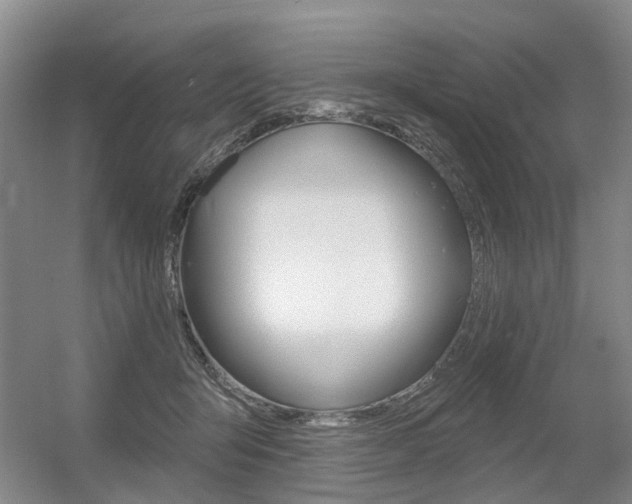 X0000056350415200508260925