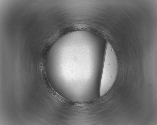 X0000056350417200508260925