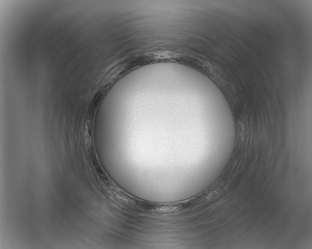 X0000056350422200508260925