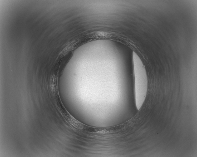 X0000056350423200508260925