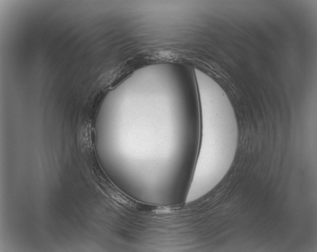 X0000056350425200508260925