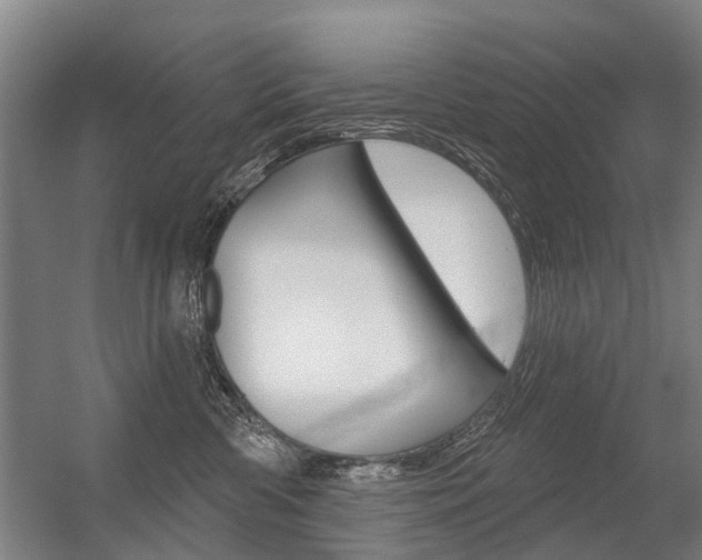 X0000056350426200508260925
