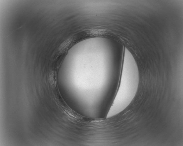 X0000056350428200508260925