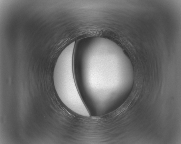 X0000056350432200508260925