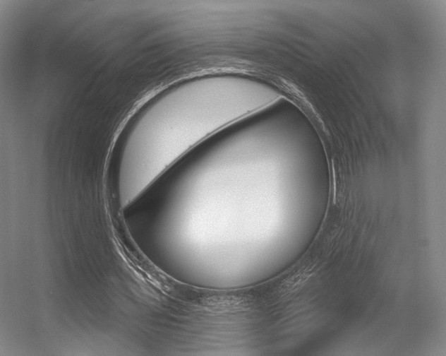 X0000056350435200508260924