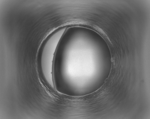 X0000056350436200508260924