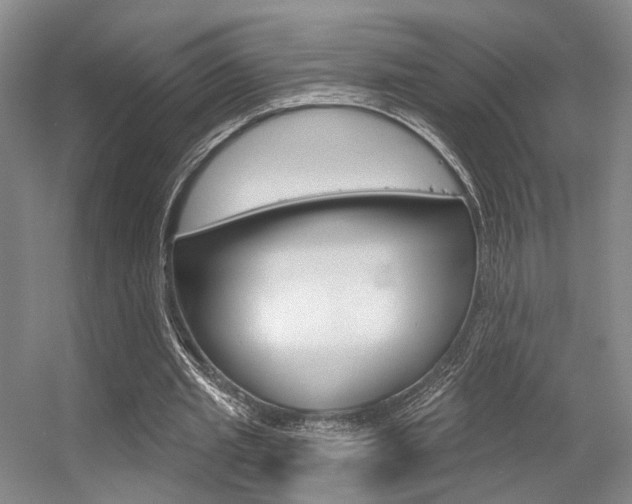 X0000056350437200508260924