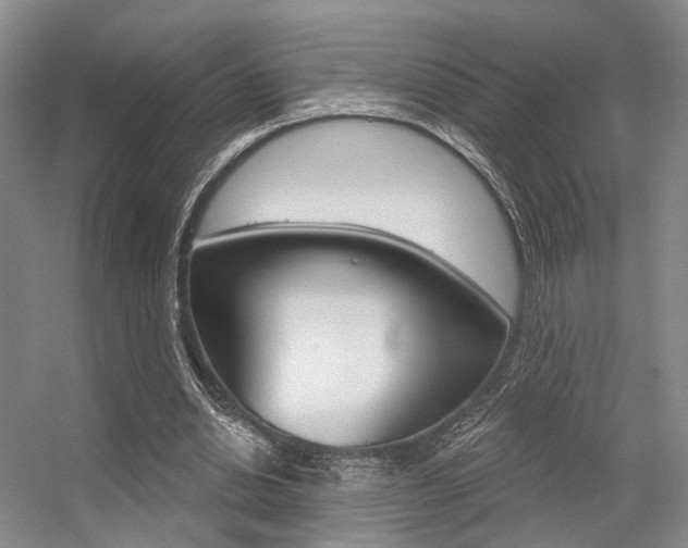 X0000056350438200508260924