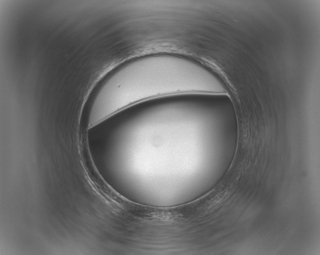 X0000056350439200508260924
