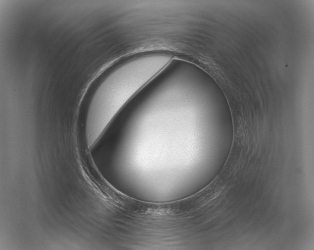 X0000056350440200508260924