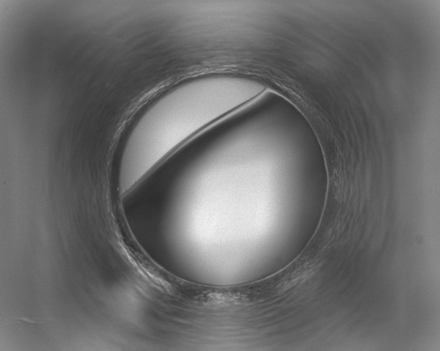 X0000056350442200508260924