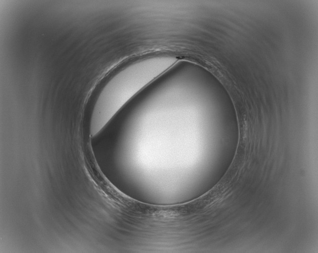 X0000056350444200508260924
