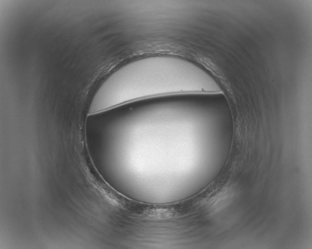 X0000056350449200508260924