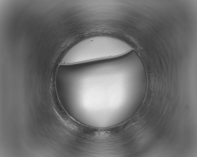 X0000056350451200508260924