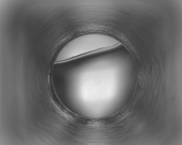 X0000056350454200508260924