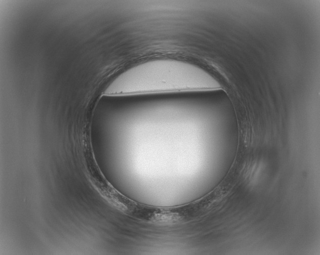 X0000056350455200508260924