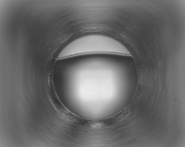 X0000056350456200508260924