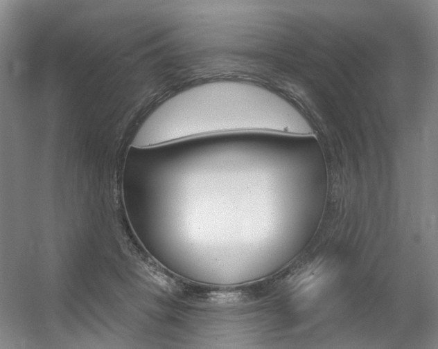 X0000056350457200508260924