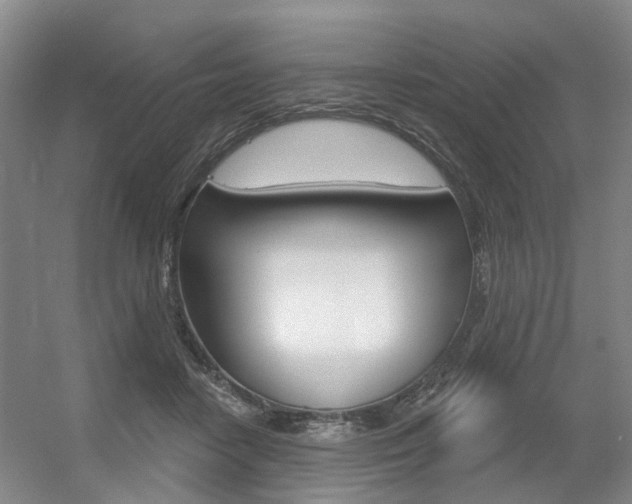 X0000056350458200508260924