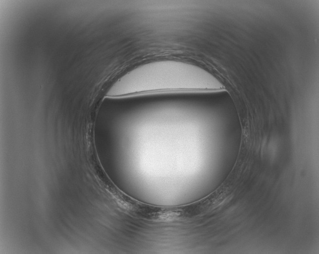X0000056350462200508260924