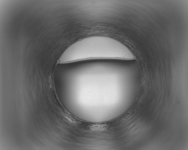 X0000056350465200508260924