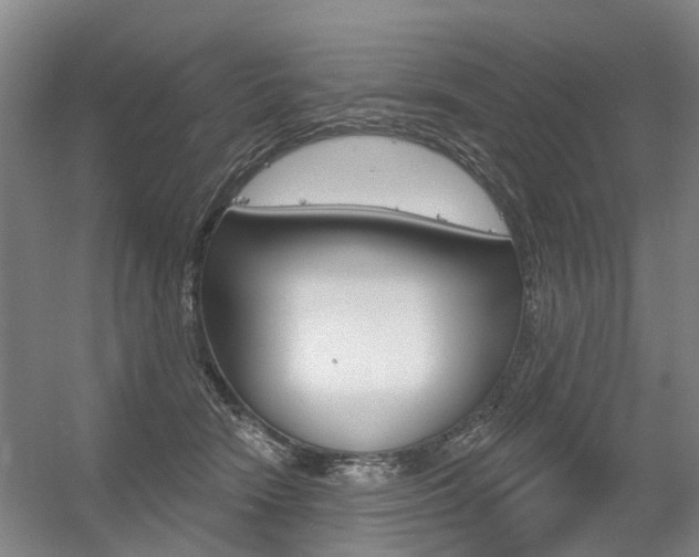 X0000056350466200508260924