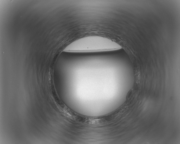 X0000056350472200508260924