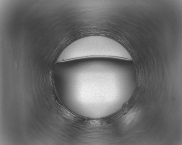 X0000056350473200508260924