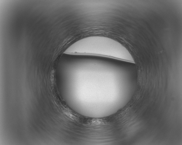 X0000056350475200508260924