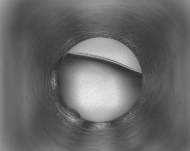 X0000056350479200508260925