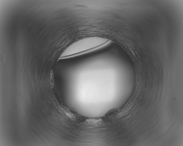 X0000056350480200508260925