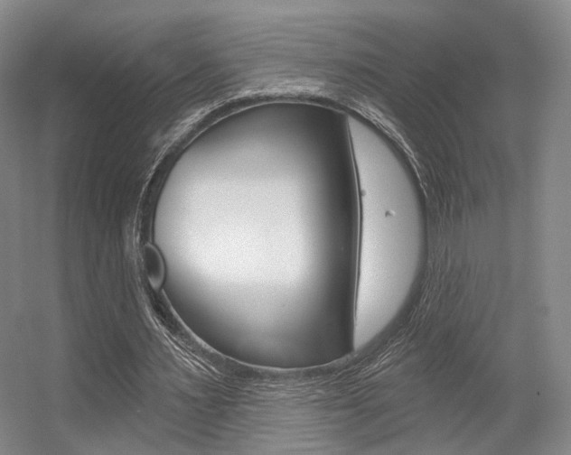 X0000056350483200508260924