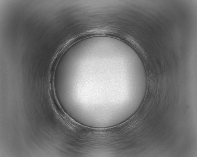 X0000056350486200508260924