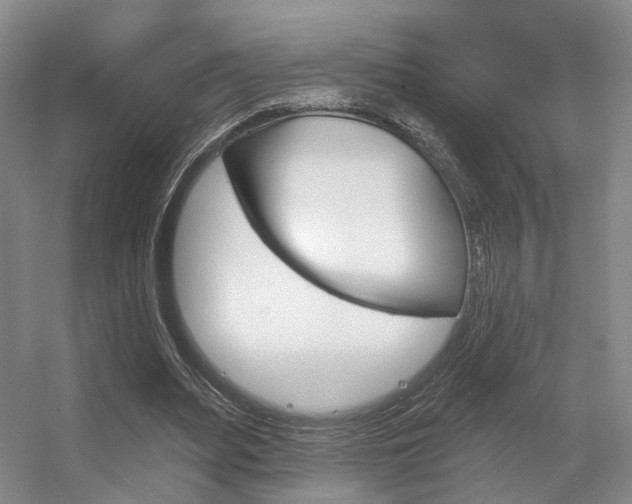X0000056350487200508260924
