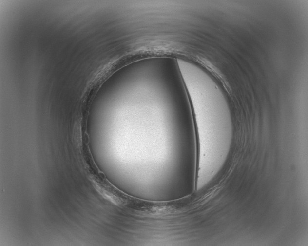 X0000056350493200508260924
