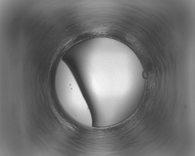 X0000056350494200508260924