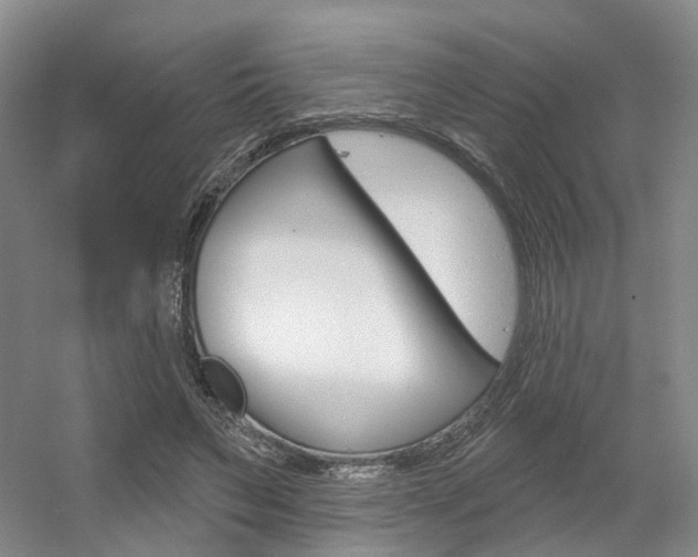 X0000056350495200508260924