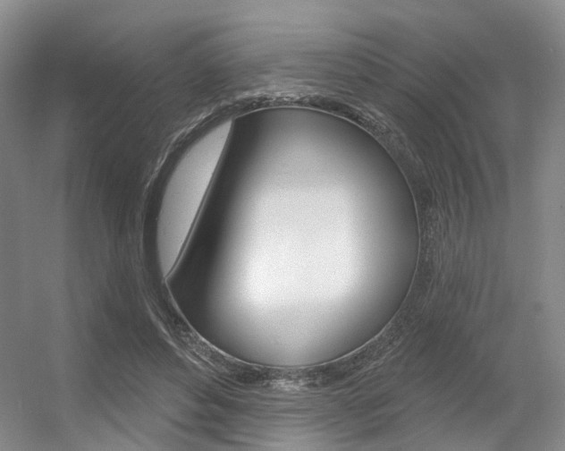 X0000056350496200508260923