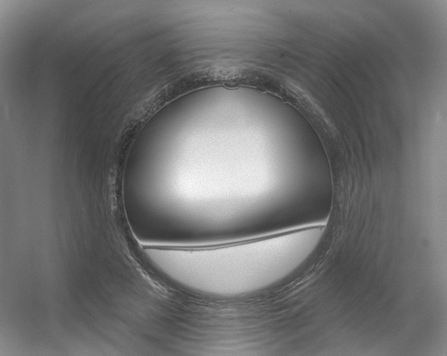 X0000056350497200508260923
