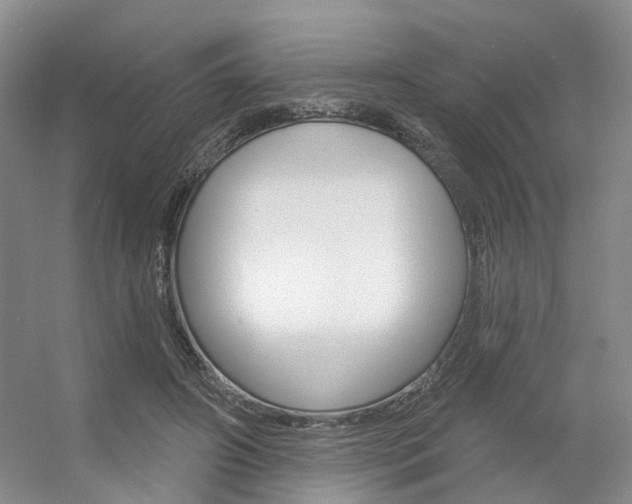X0000056350498200508260923