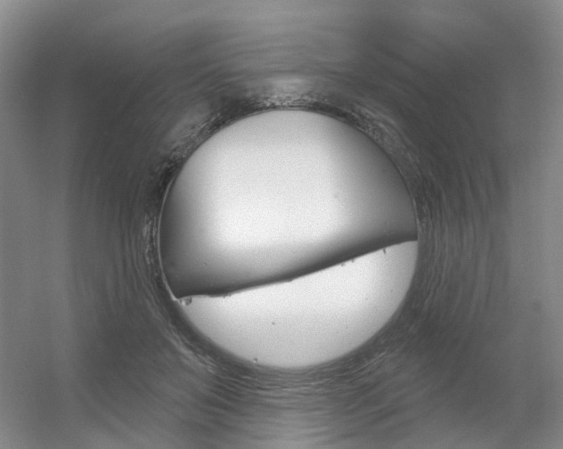 X0000056350503200508260923