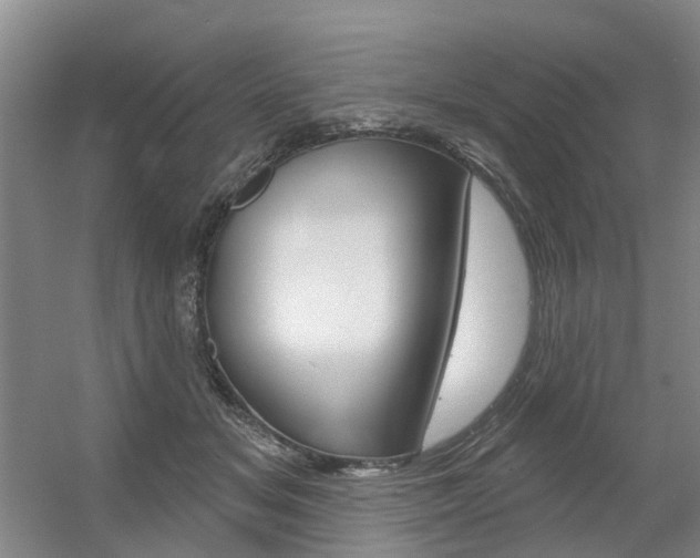 X0000056350509200508260923