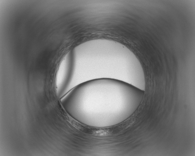 X0000056350511200508260923