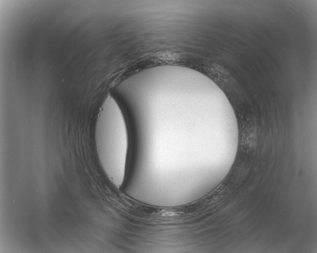 X0000056350518200508260923