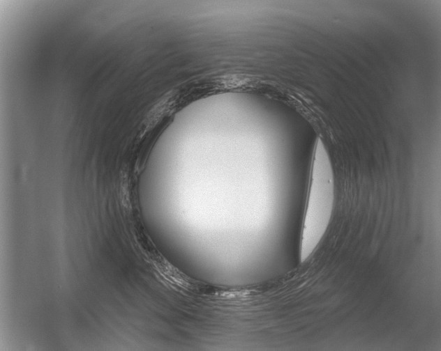 X0000056350524200508260923